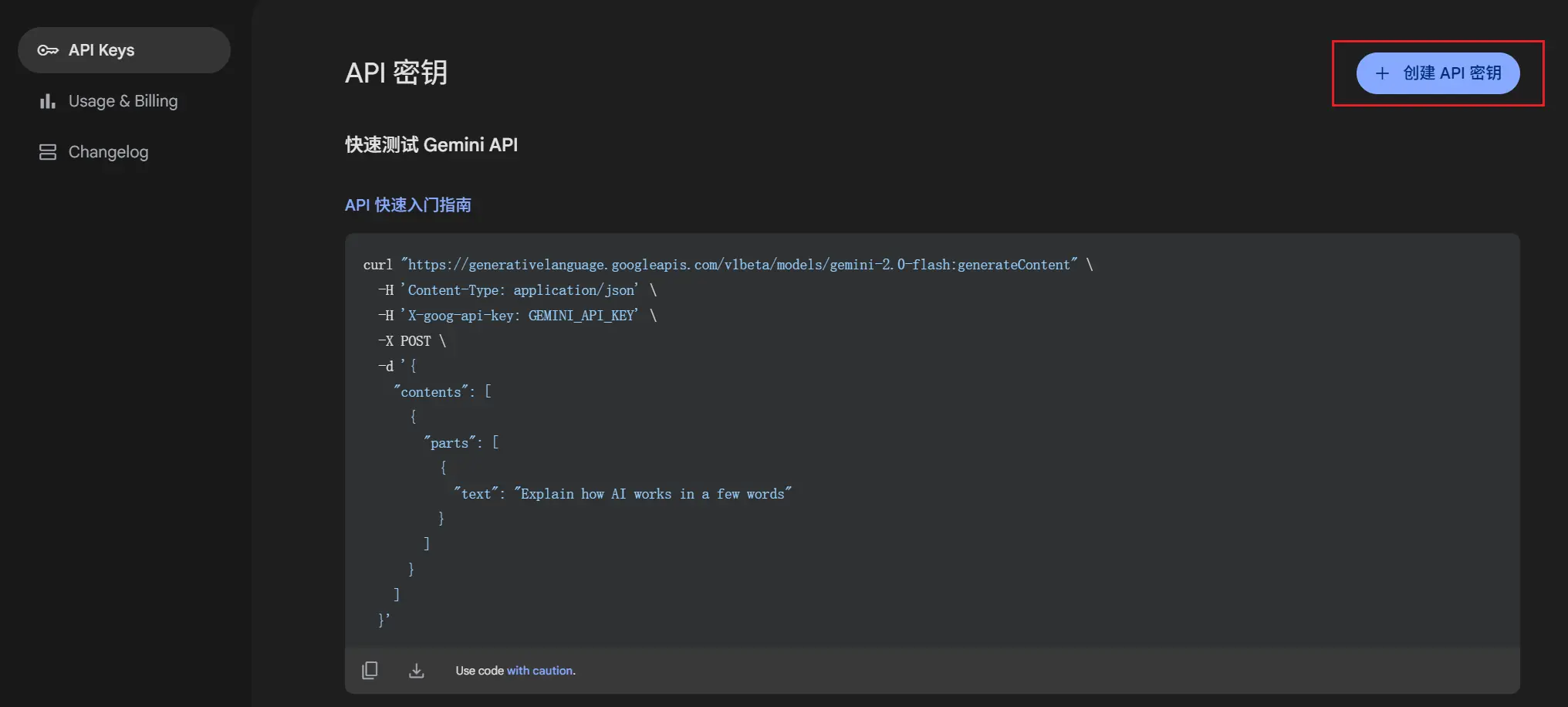 Google AI Studio