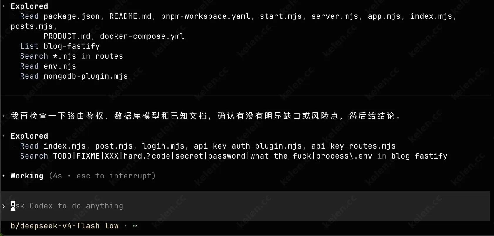 codex成功调用