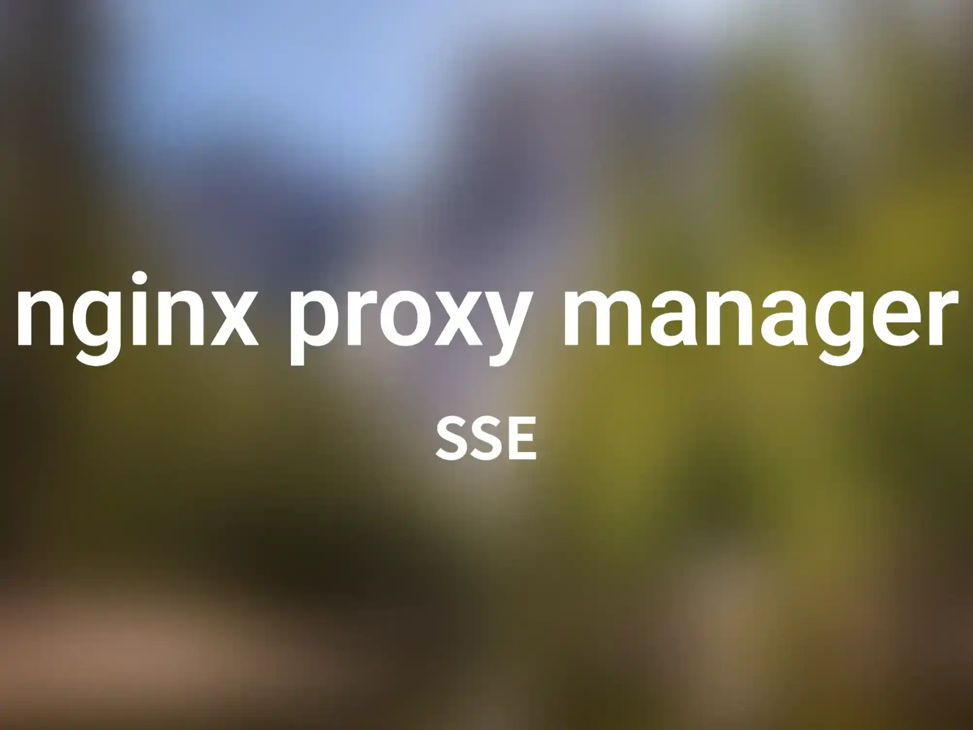 如何在Nginx Proxy Manager（NPM）中配置SSE支持