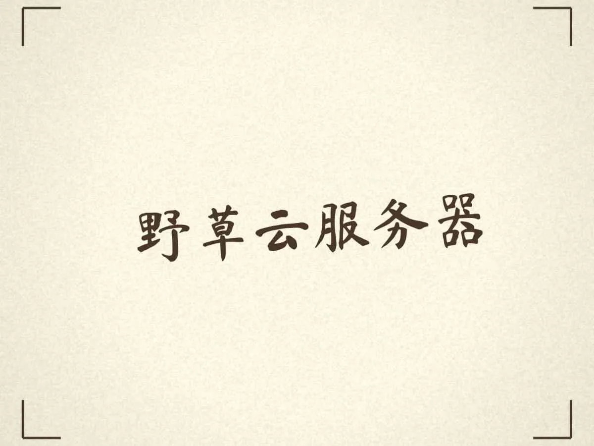 更换了野草云VPS，14年老牌IDC，性价比超高，目前稳定运行