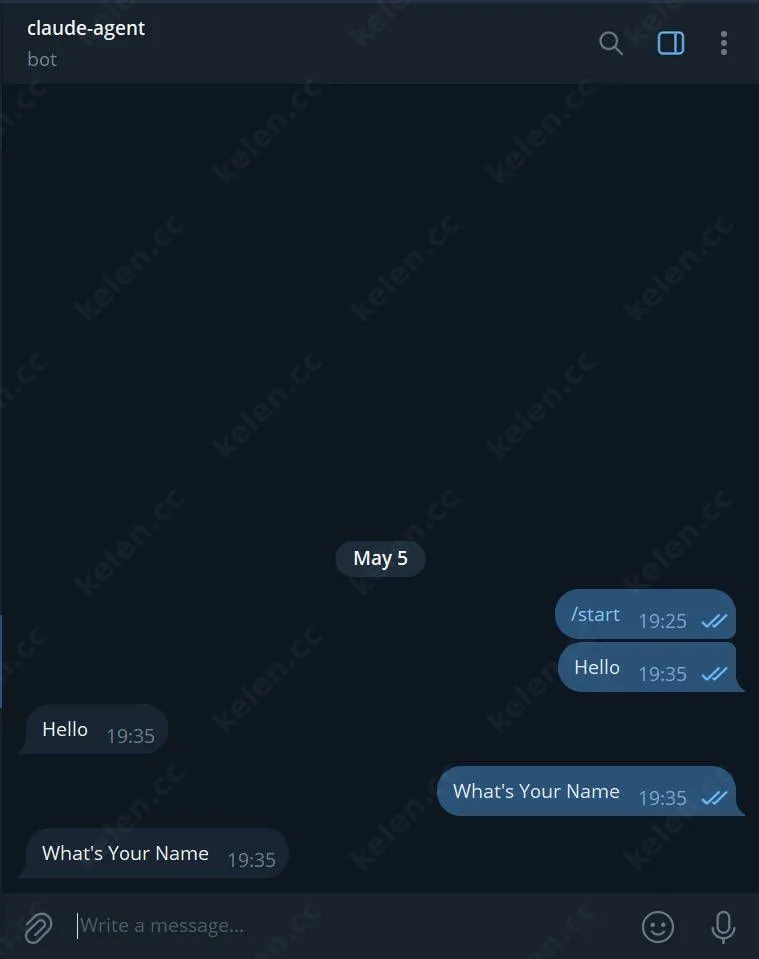 Echo Bot
